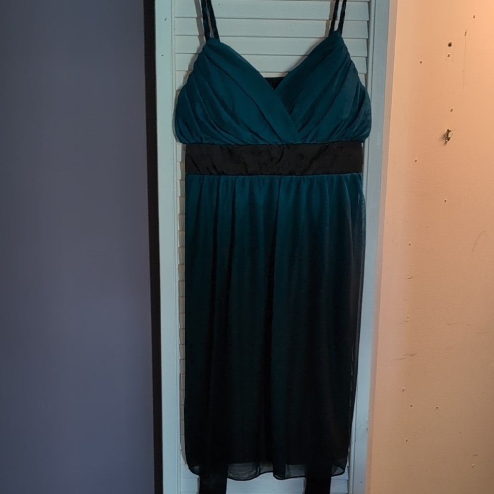 Alyn Paige Teal and Black Midi Dress